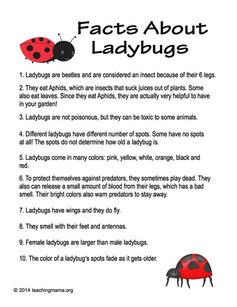 Facts About Ladybugs - Teaching Mama | Facts for kids, Ladybugs preschool, Ladybug