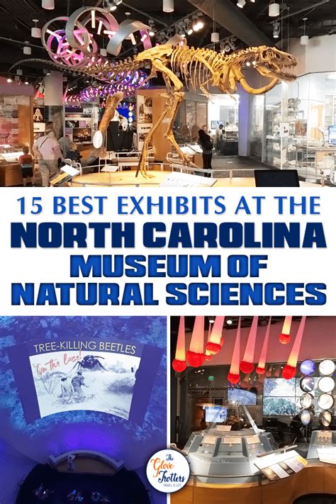 Explore the Fascinating Exhibits at the NC Museum of Natural Sciences