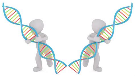 Identical Twins' Shared DNA Causes Problems for Burglary Case