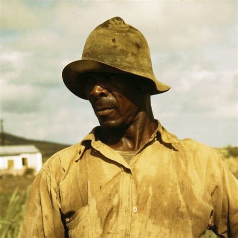 Celebrating Black Farmers through Film | Edible East Bay