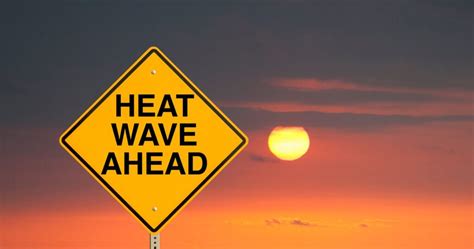 Global Heat Waves Shatter Records in 2023 | Origin Sustainables