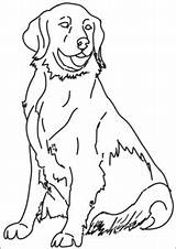犬｜大人・高齢者・子供用無料塗り絵プリント  ぬり絵の力 sketch template