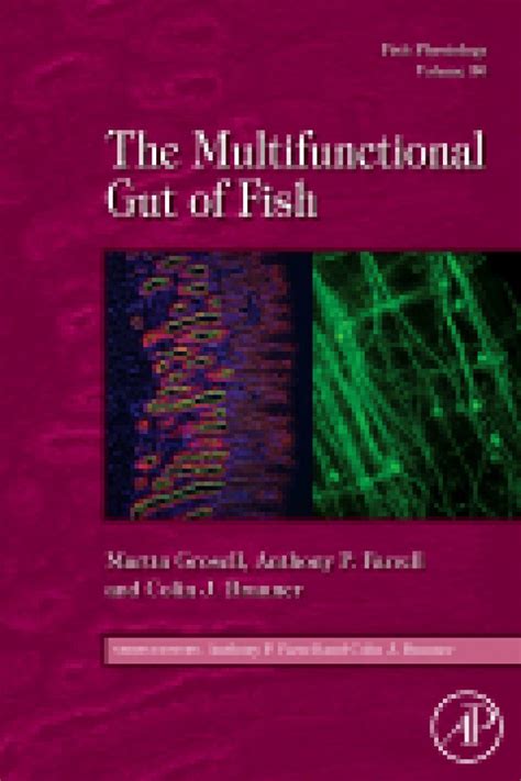 Fish Physiology, Volume 30: The Multifunctional Gut of Fish | NHBS Academic & Professional Books