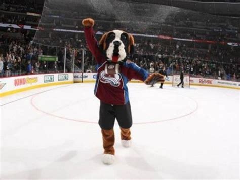 Can You Name These NHL Mascots? | Playbuzz