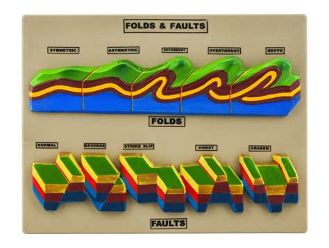 Buy Fold and Fault Model - Geology Tectonics Study Model - Eisco Labs ...