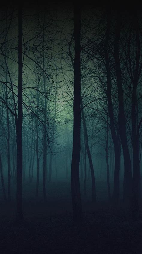 Eerie Forest Night | Nature wallpaper, Dark wallpaper, Iphone 6 wallpaper