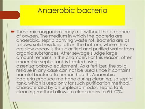 Microorganisms - презентация онлайн