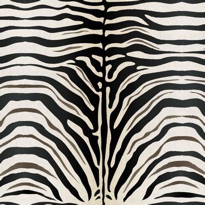 Zebra Pattern Fabric, Wallpaper and Home Decor | Spoonflower