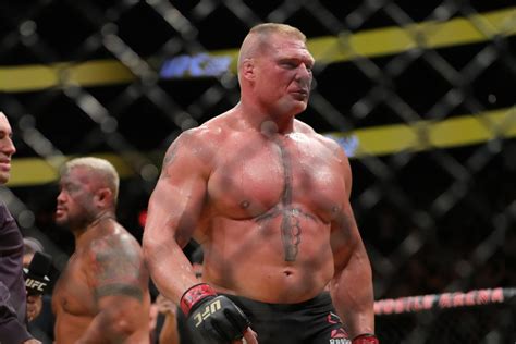 Brock Lesnar receives temporary suspension from Nevada Athletic ...