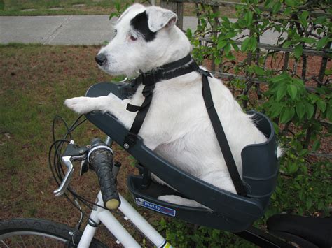 Buddy Rider - Dog Bike Seat — Premium European Urban Bicycles, Dutch Bikes, Hybrid Bicycles ...