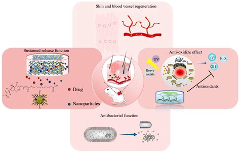 Life | Free Full-Text | Hydrogel Preparation Methods and Biomaterials ...