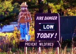 ONLY YOU CAN PREVENT FOREST FIRES! | Smokey | Reellady | Flickr