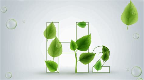 Canadian Green H2 Project Gets Environmental Green Light | Rigzone