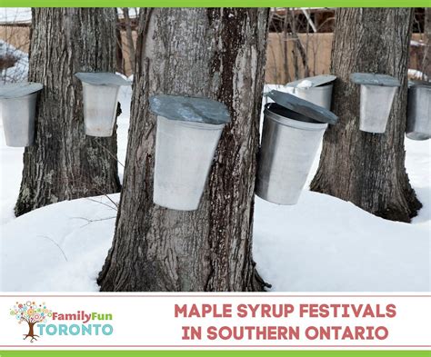 Guide to Maple Syrup Festivals in the GTA and Southern Ontario | Family Fun Toronto