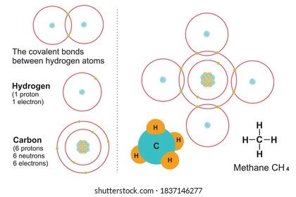 Carbon Hydrogen Covalent Bond