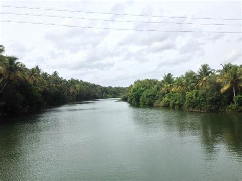 Cruising by Houseboat at Ashtamudi Lake - Reviews, Photos - Ashtamudi ...