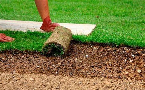 Sod Installation Near Me