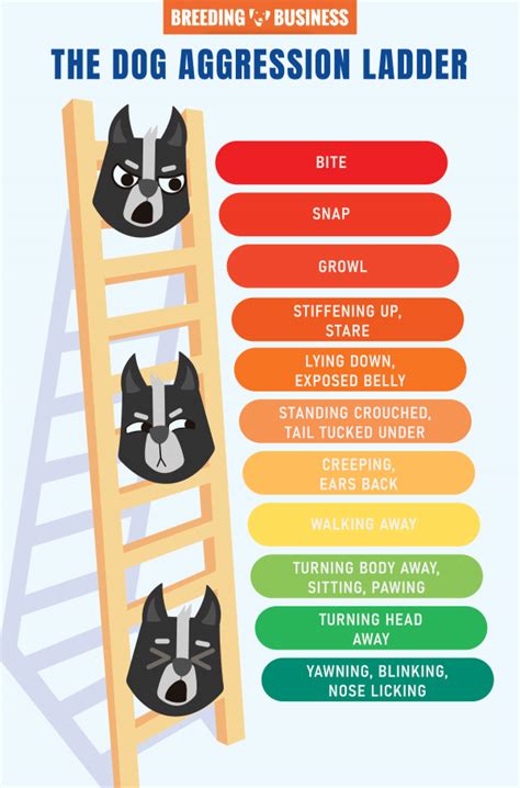 Dog Aggression Ladder – What Is It, Examples & FAQ