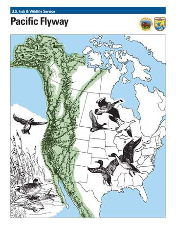 Bird Migration Routes - Google Earth Tour - Geospatial Technologies ...