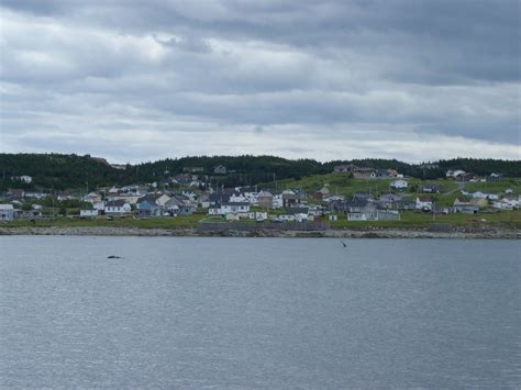 P1030268 TOWN OF BONAVISTA | FROM MOCKBEGGAR PLANTATION | Flickr