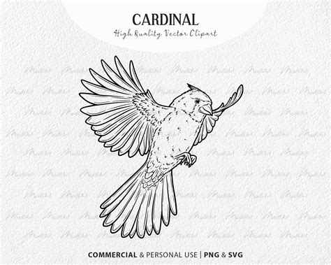 Cardinal Vector Clipart Bundle. Little Red Birds. Flying Birds Outline ...