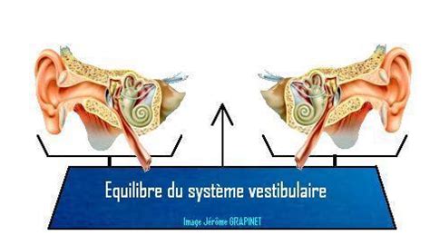 Le fauteuil rotatoire à haute vitesse (FGV) / Rééducation vestibulaire