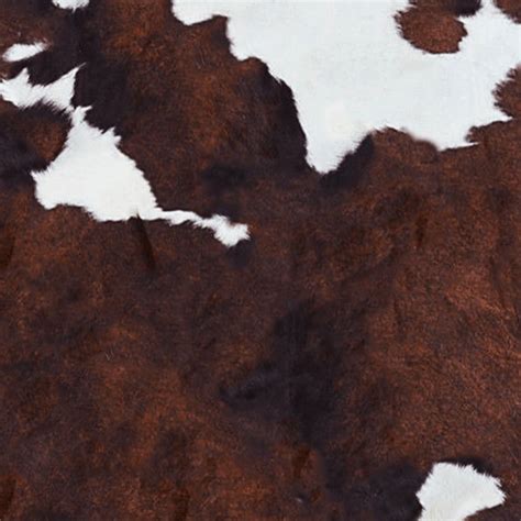 Cow leather rug texture 20024