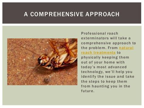 Controlling roaches the practical approach