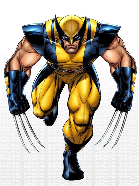 Wolverine Cartoon Wallpapers - Wallpaper Cave