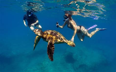 List Of Best Places To Snorkel In Oahu Hawaii 2022