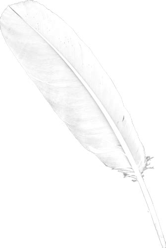 Feather PNG
