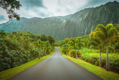 Guide to Visiting Hawaii for the First Time - Best Island to Visit & More Tips