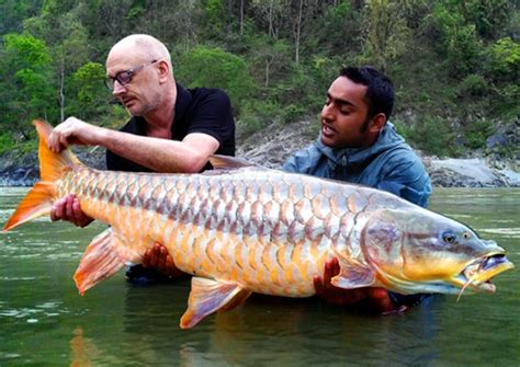 Chris tames potential new world record golden mahseer in northern India at 75lb…. – Total Fishing