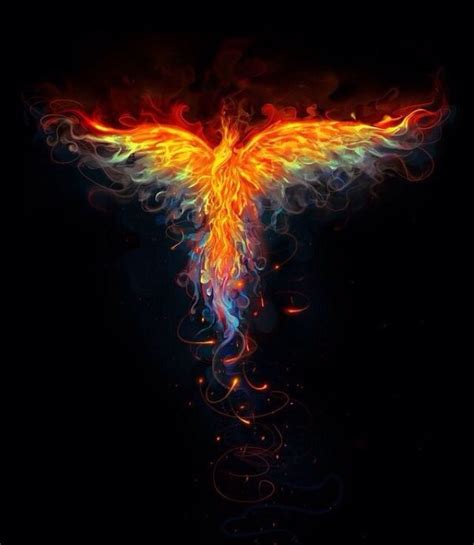 Rainbow pheonix | Phoenix tattoo, Phoenix images, Phoenix bird