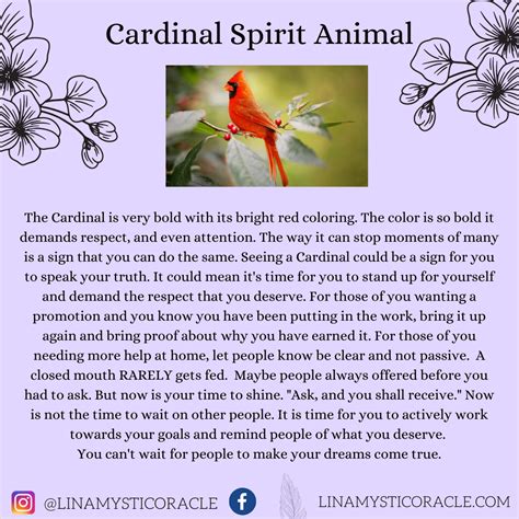 Cardinal spiritual meaning cardinal spirit animal – Artofit