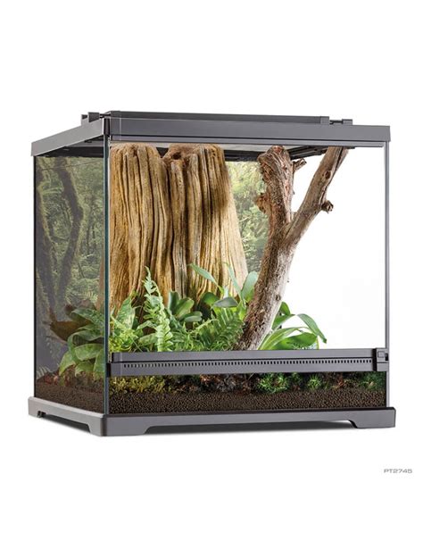 Pet Frog Habitat - AMPHIPEDIA