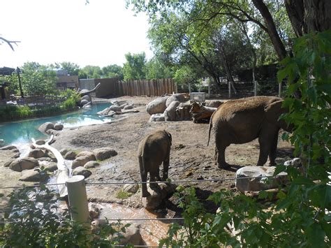 Klete, Tatum, Wyatt & Hudson: ZOO time in UTAH :)