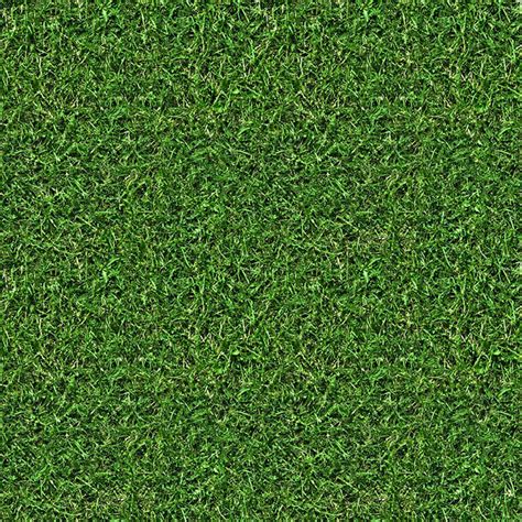 Grass texture seamless - mintwest