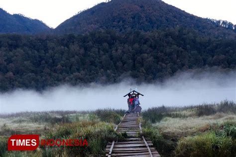 Trek Pendakian Terpanjang di Pulau Jawa Hanya di Gunung Argopuro, Ini Jalurnya - TIMES Indonesia