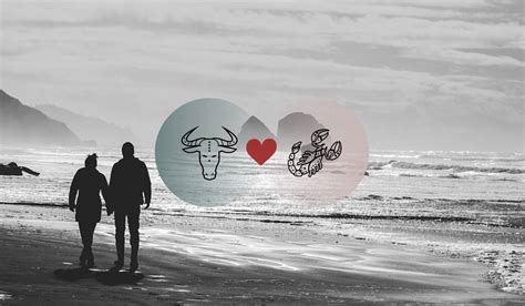 Taurus And Scorpio Compatibility In Love, Relationship And Sex