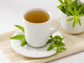 Lemon Verbena Tea: How to Make & Benefits | Organic Facts