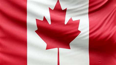 Canada Flag Zoom Background