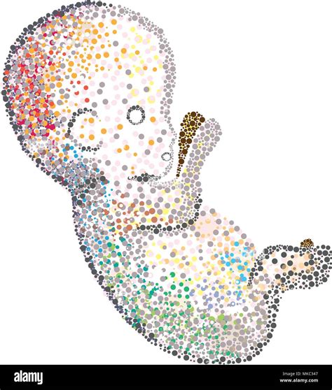 Human fetus mosaic spotted representation of single cell lineage ...