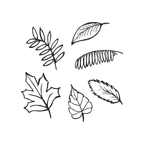 Fall Leaves Black And White Vector Art, Icons, and Graphics for Free ...