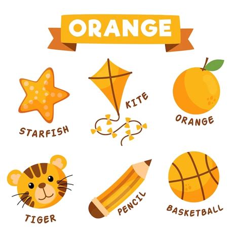 Free Vector | Orange objects and vocabulary set in english