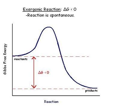 Delta G Equation & the Equilibrium Constant | How to Find Delta G ...