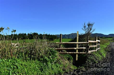 Hike Through the Area of Sete Cidades in Portugal Photograph by DejaVu Designs - Pixels