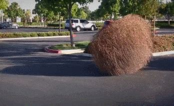 Tumbleweed Animated GIF