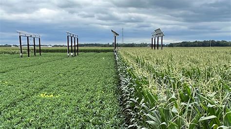 Purdue agrivoltaic farming structures and software harvest solar power at lower cost and with ...