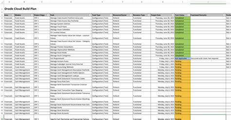 Oracle Cloud Implementation Playbook – Tactical Project Manager